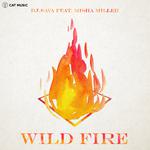 Wild Fire专辑