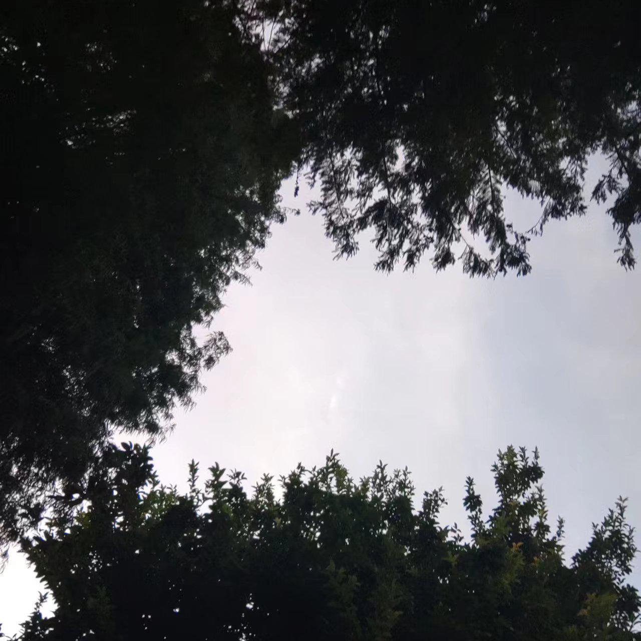 《超爱》