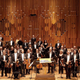 London Festival Orchestra