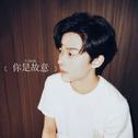 你是故意专辑