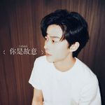 你是故意专辑