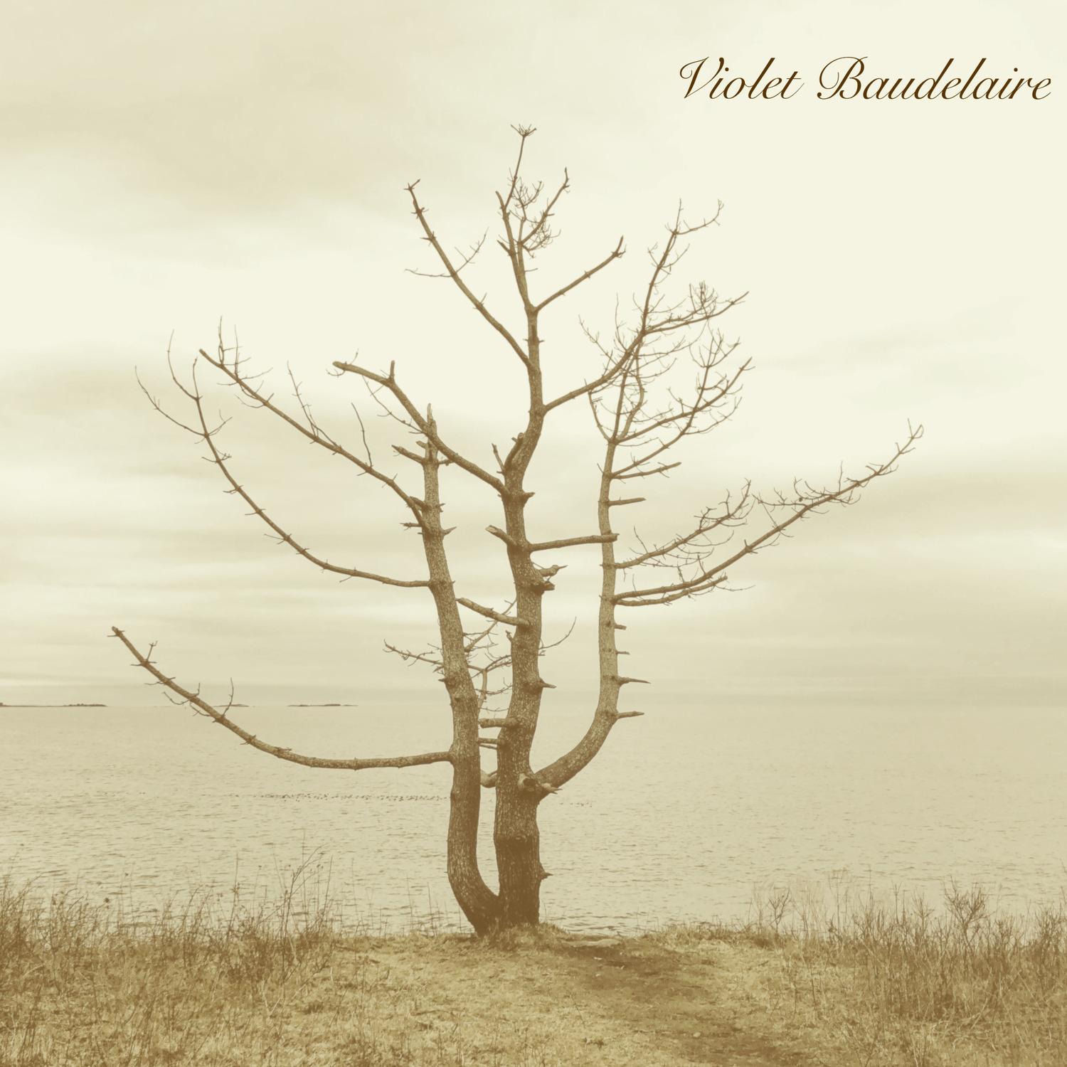 Violet Baudelaire