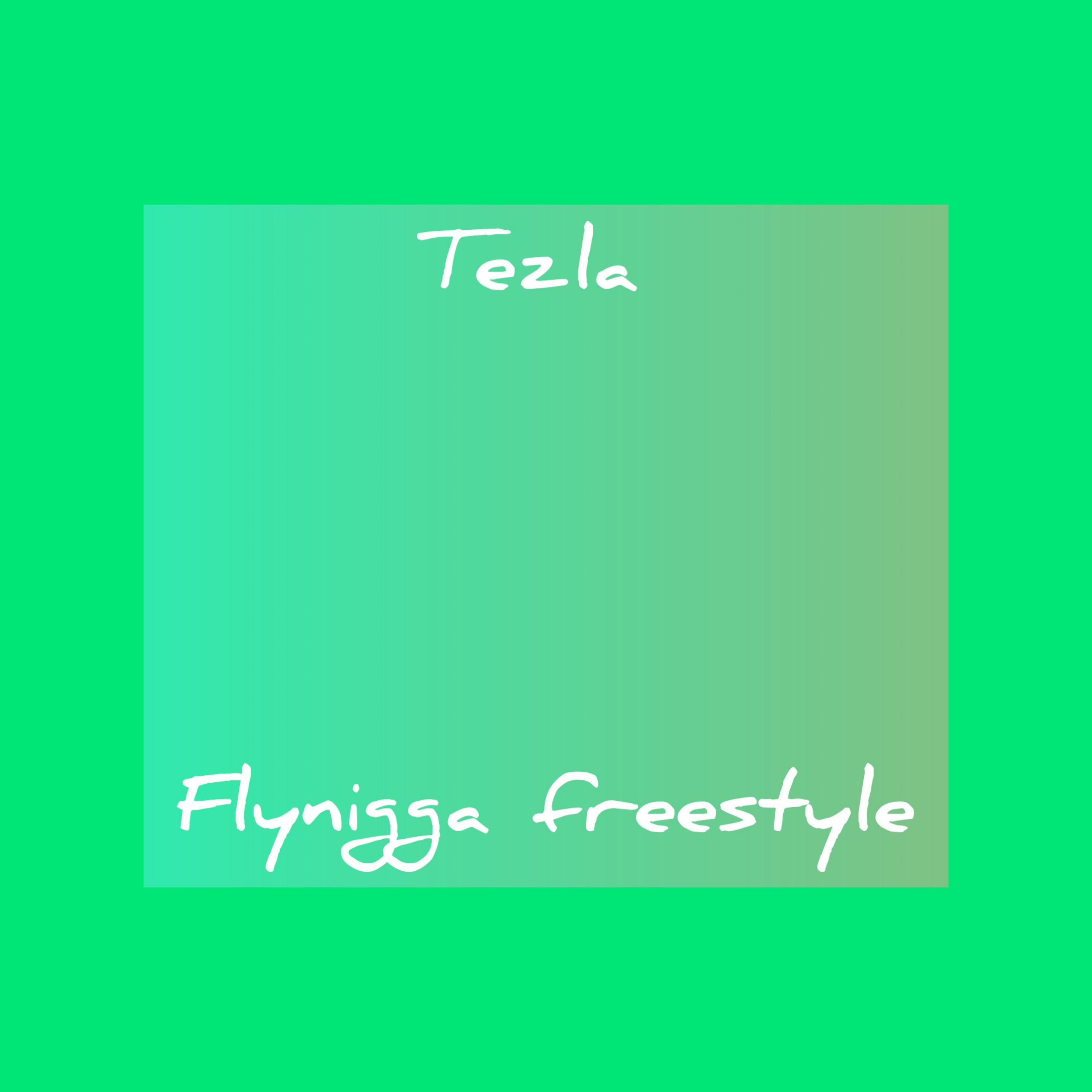 Fly Nigga (Freestyle)