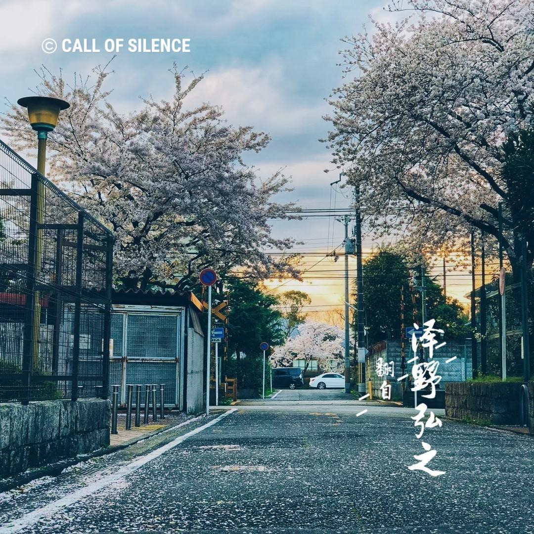 Call of Silence [钢琴]（翻自 澤野弘之）