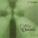 Celtic Vocals专辑
