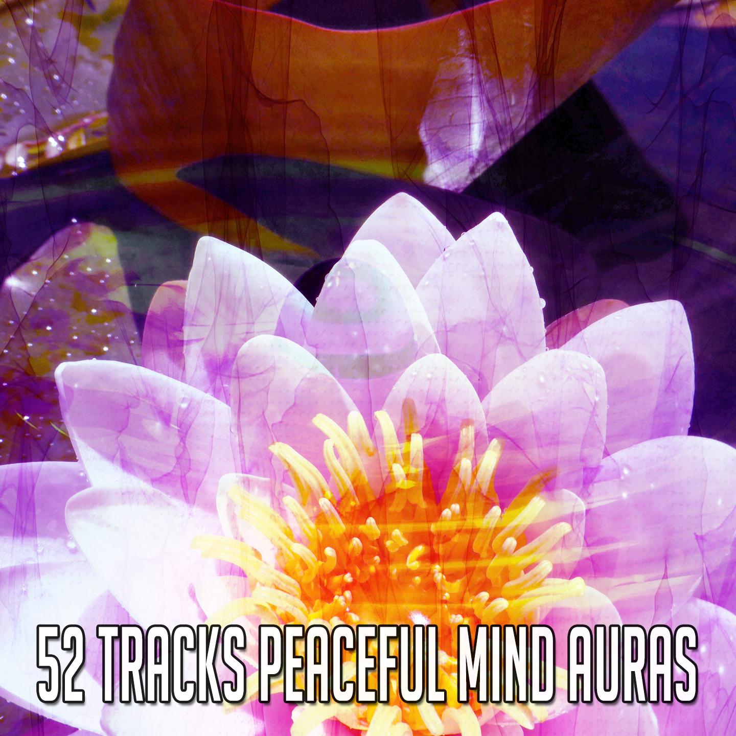 52 Tracks Peaceful Mind Auras专辑