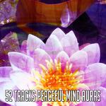 52 Tracks Peaceful Mind Auras专辑