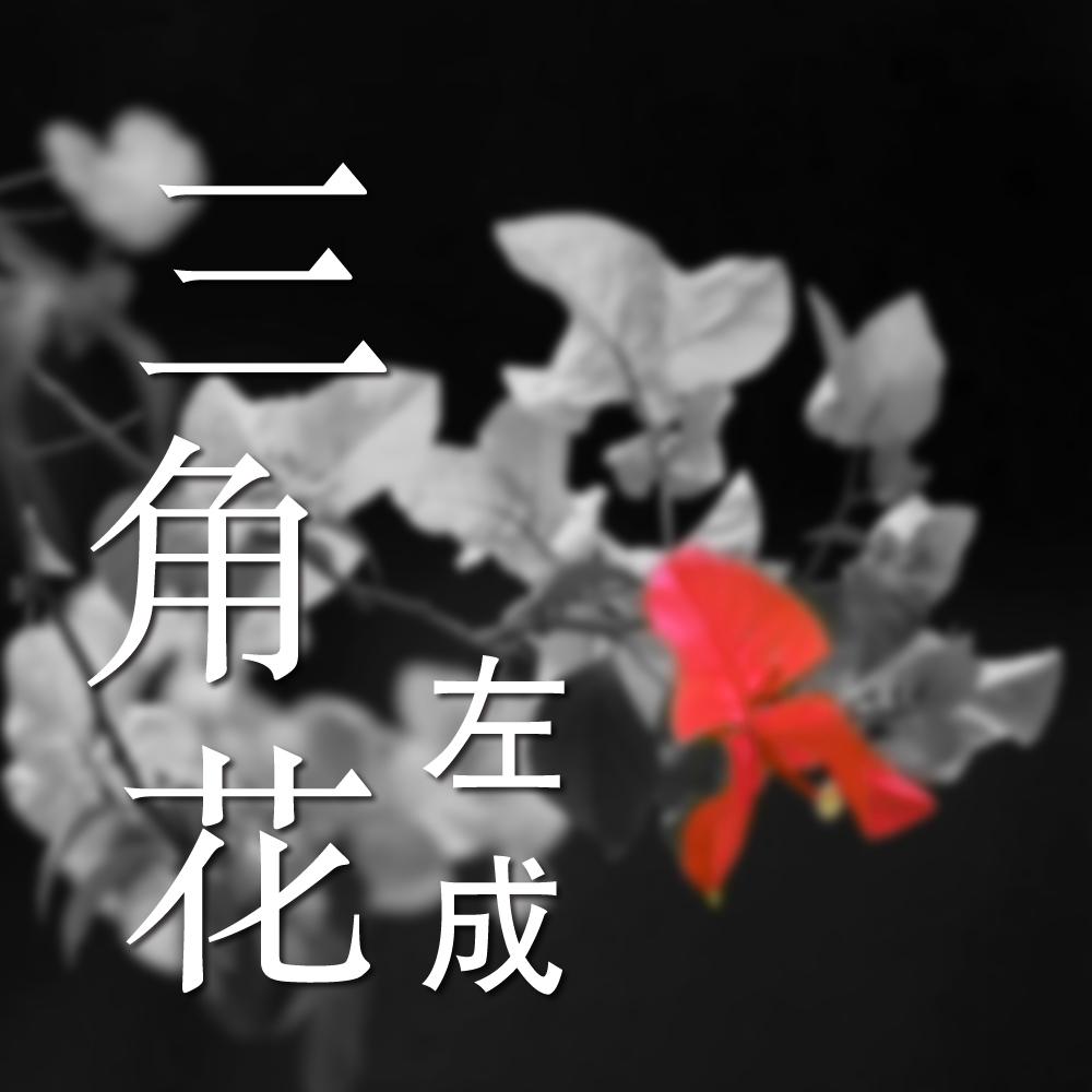 三角花专辑