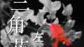 三角花专辑