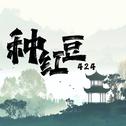 种红豆