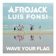 Wave Your Flag