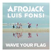 Wave Your Flag