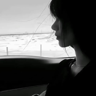 责任由我承担 伤痕也由我疗愈对吗