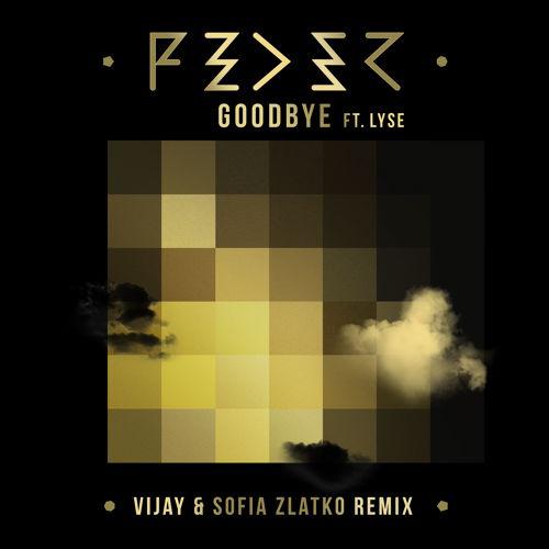 Goodbye (Vijay & Sofia Zlatko Remix)专辑