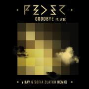 Goodbye (Vijay & Sofia Zlatko Remix)