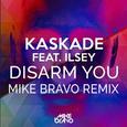 Disarm You (Mike Bravo Remix)