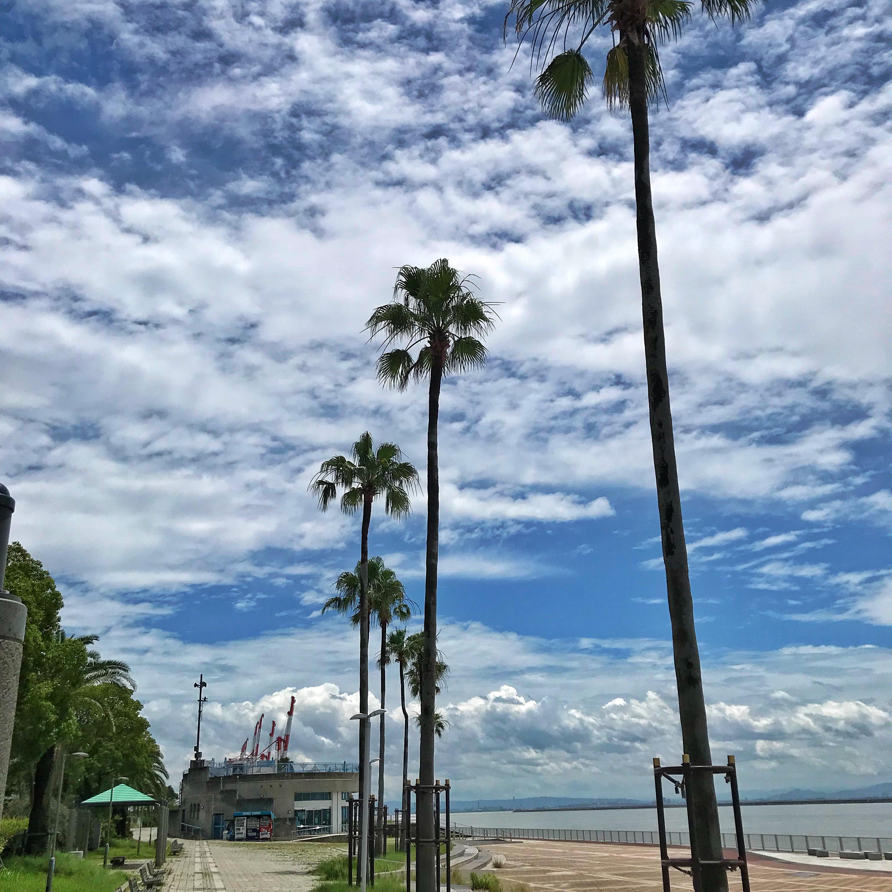 Goodbye my Lover-(Remix)(DruGTRaffickerS remix)