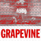 Grapevine (GMAXX & Calixto Remix)专辑