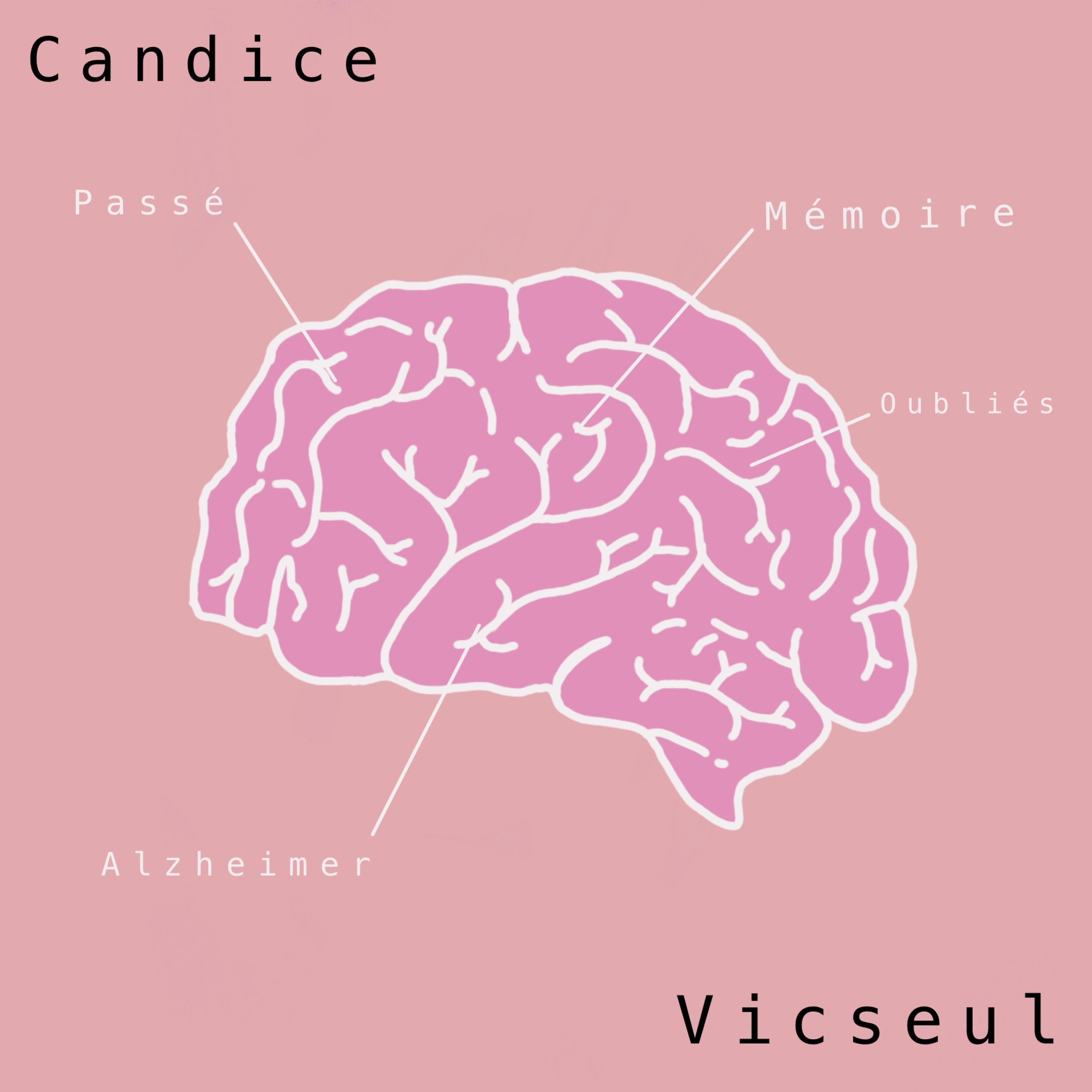 Oubliés (feat. Vicseul)
