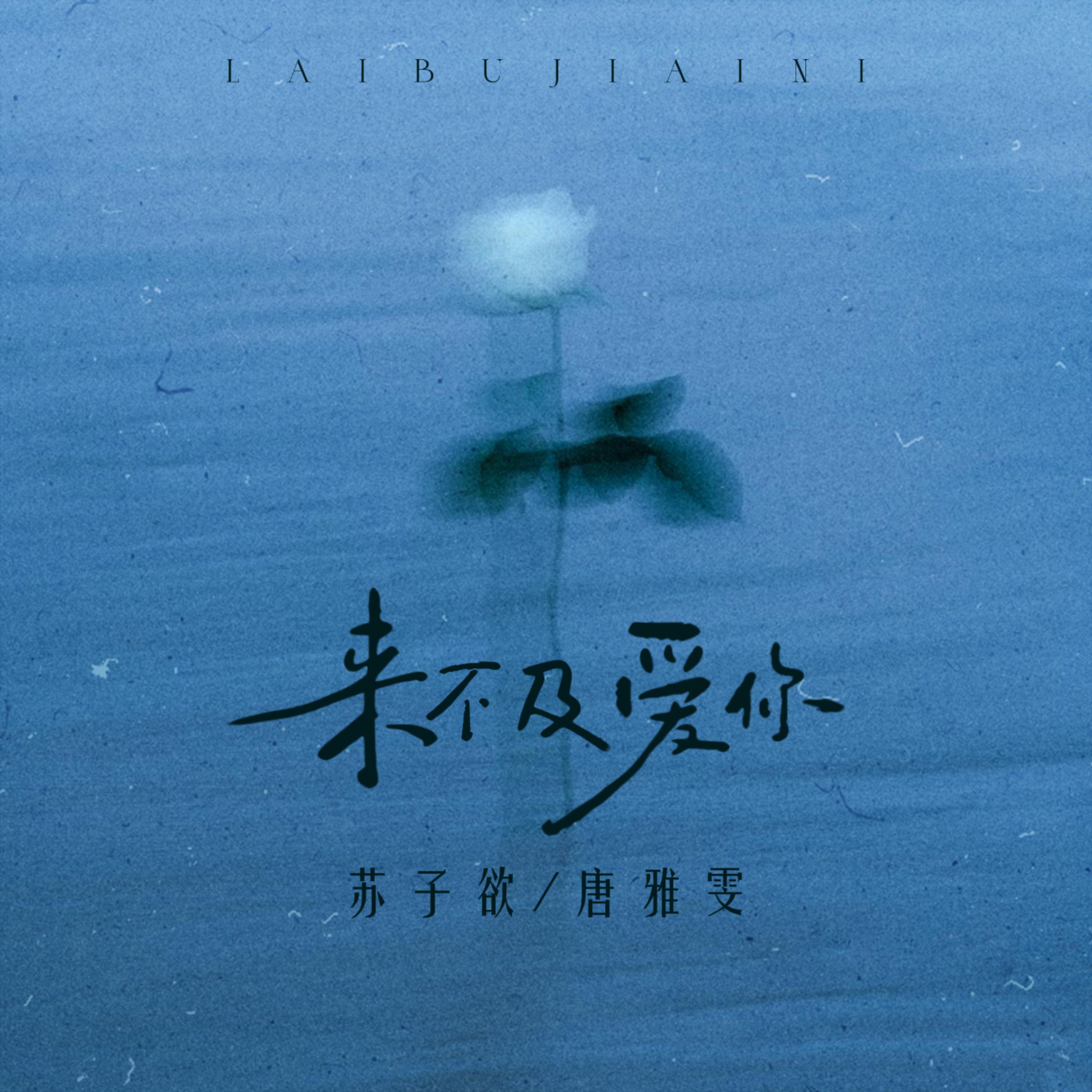 来不及爱你(伴奏)