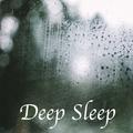 16 Deep Sleep Tracks from Nature