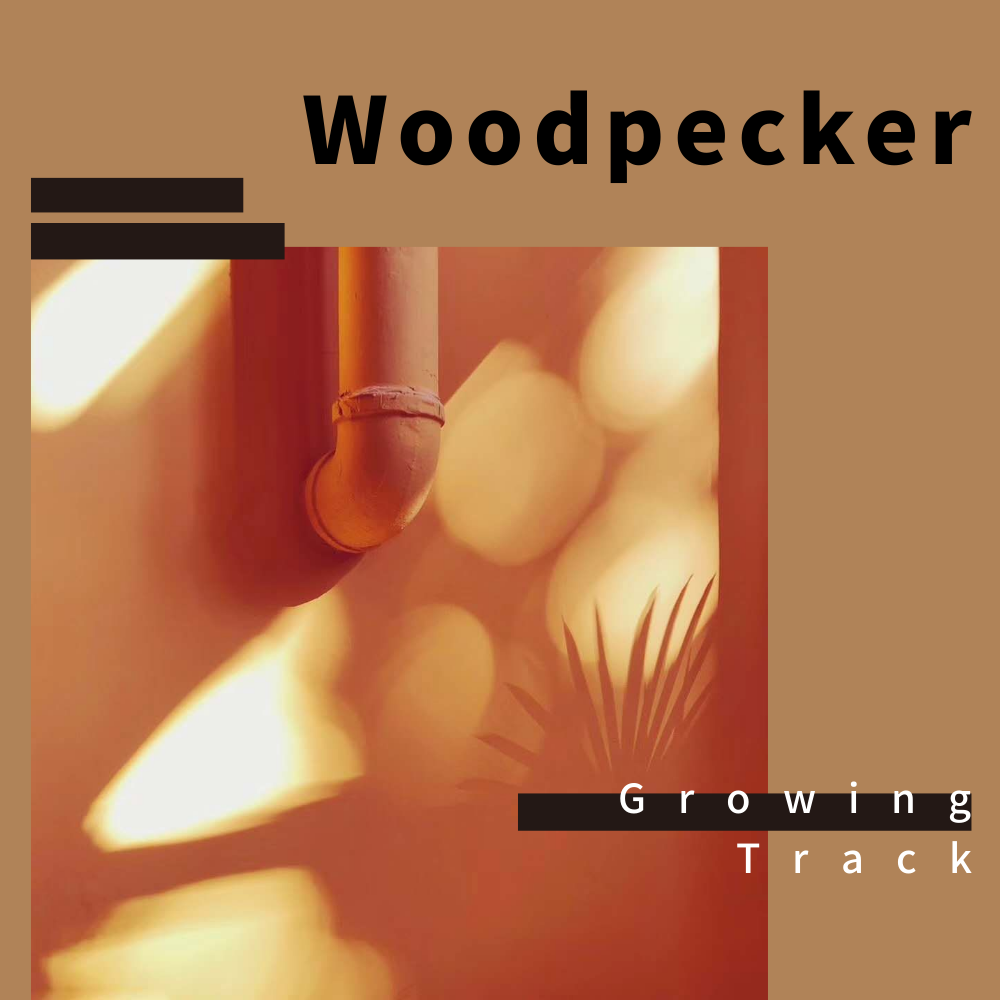 Woodpecker专辑