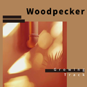 Woodpecker专辑