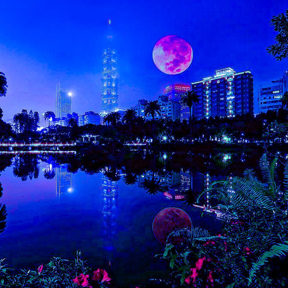 月圆之夜