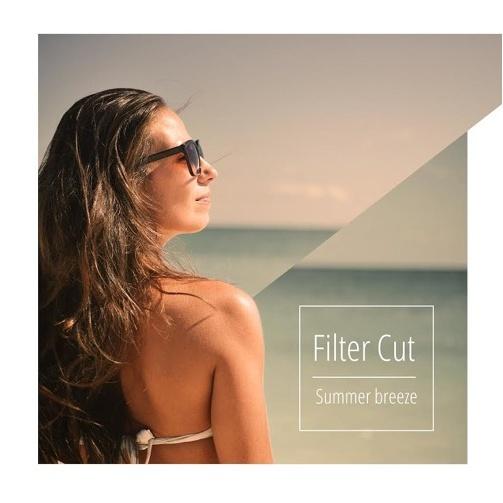 Summer Breeze(Original Mix)