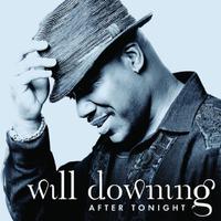 After Tonight - Will Downing (unofficial Instrumental) 无和声伴奏