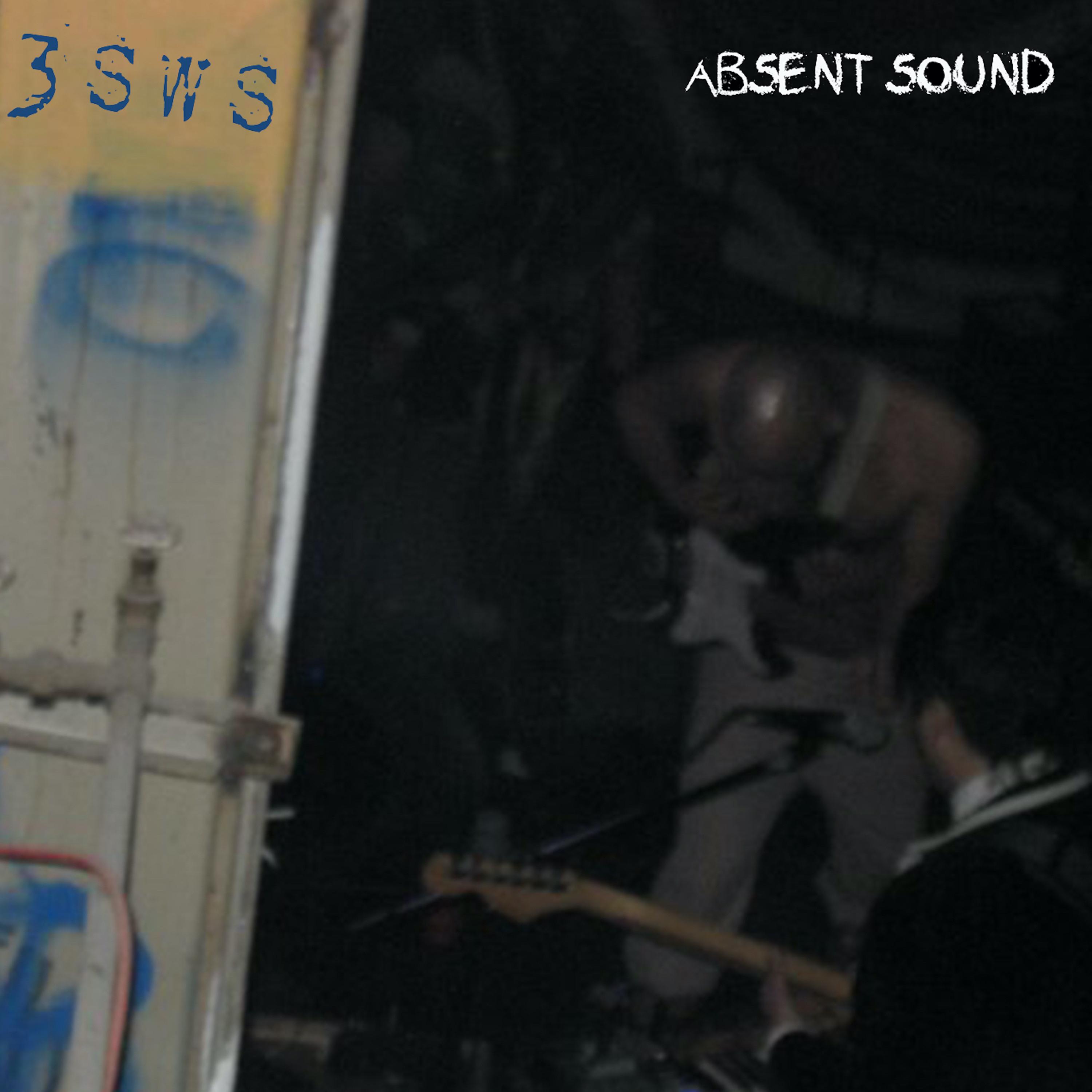 3SWS