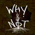 Why Not（Remix）