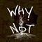 Why Not（Remix）专辑