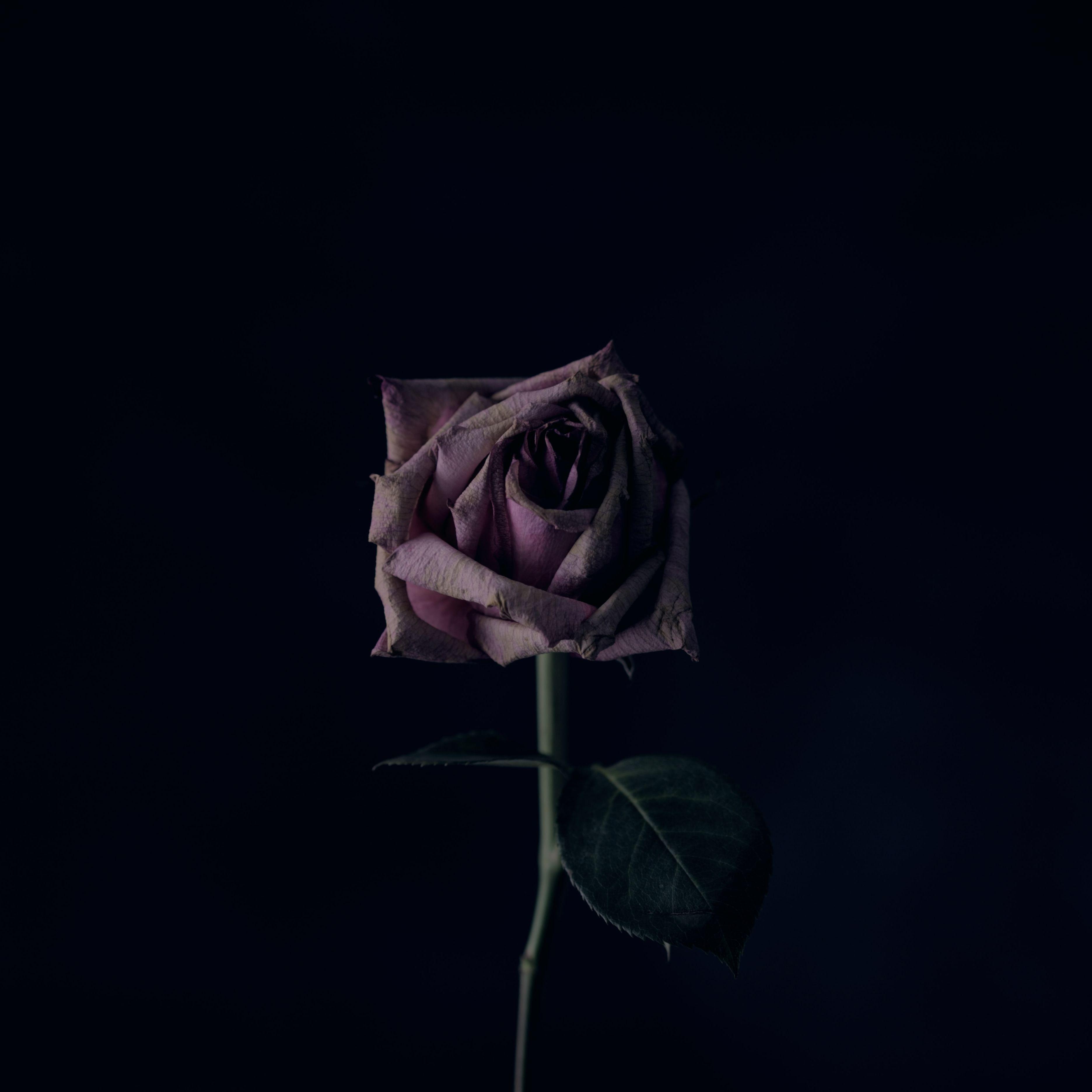 lost without you