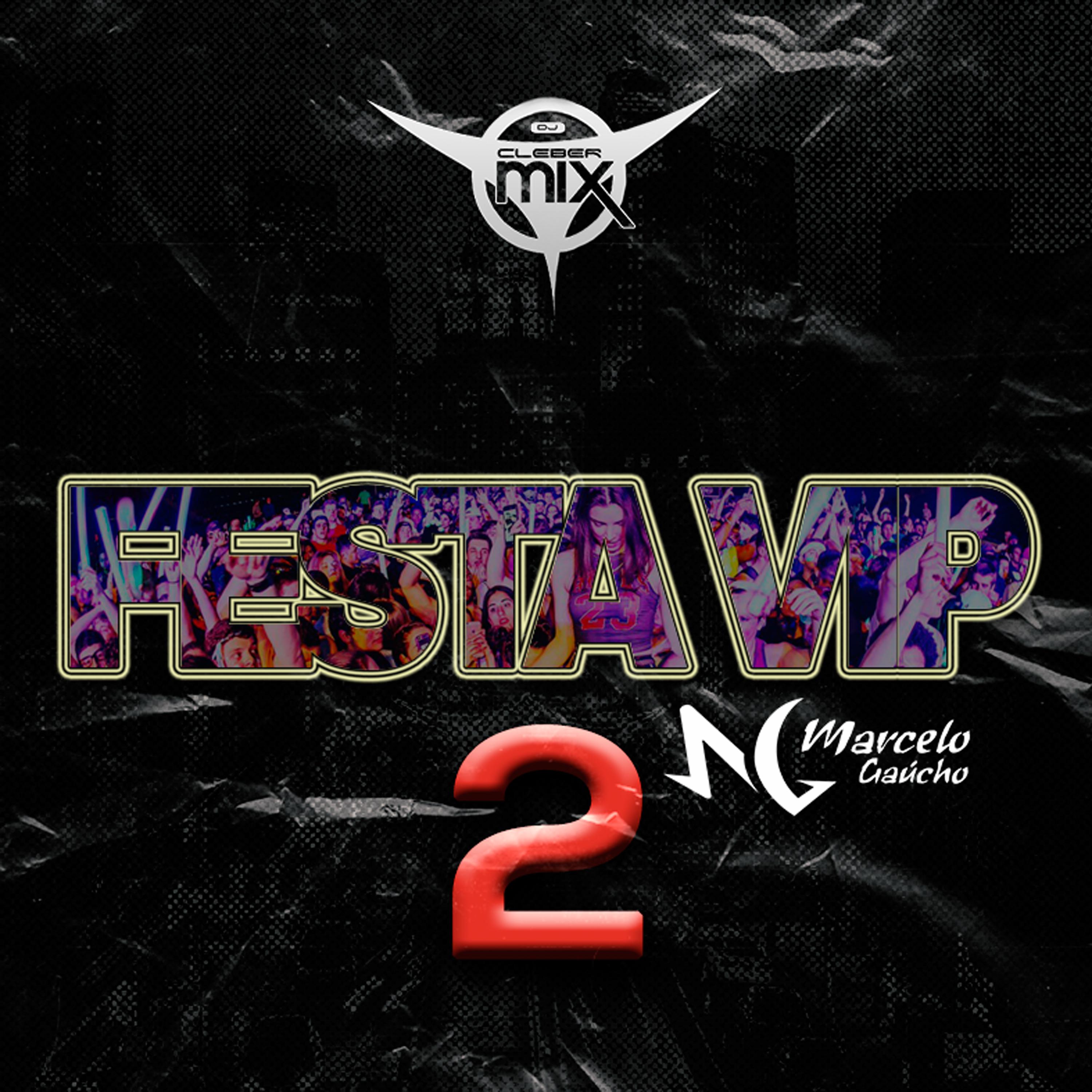 DJ Cleber Mix - Festa Vip 2