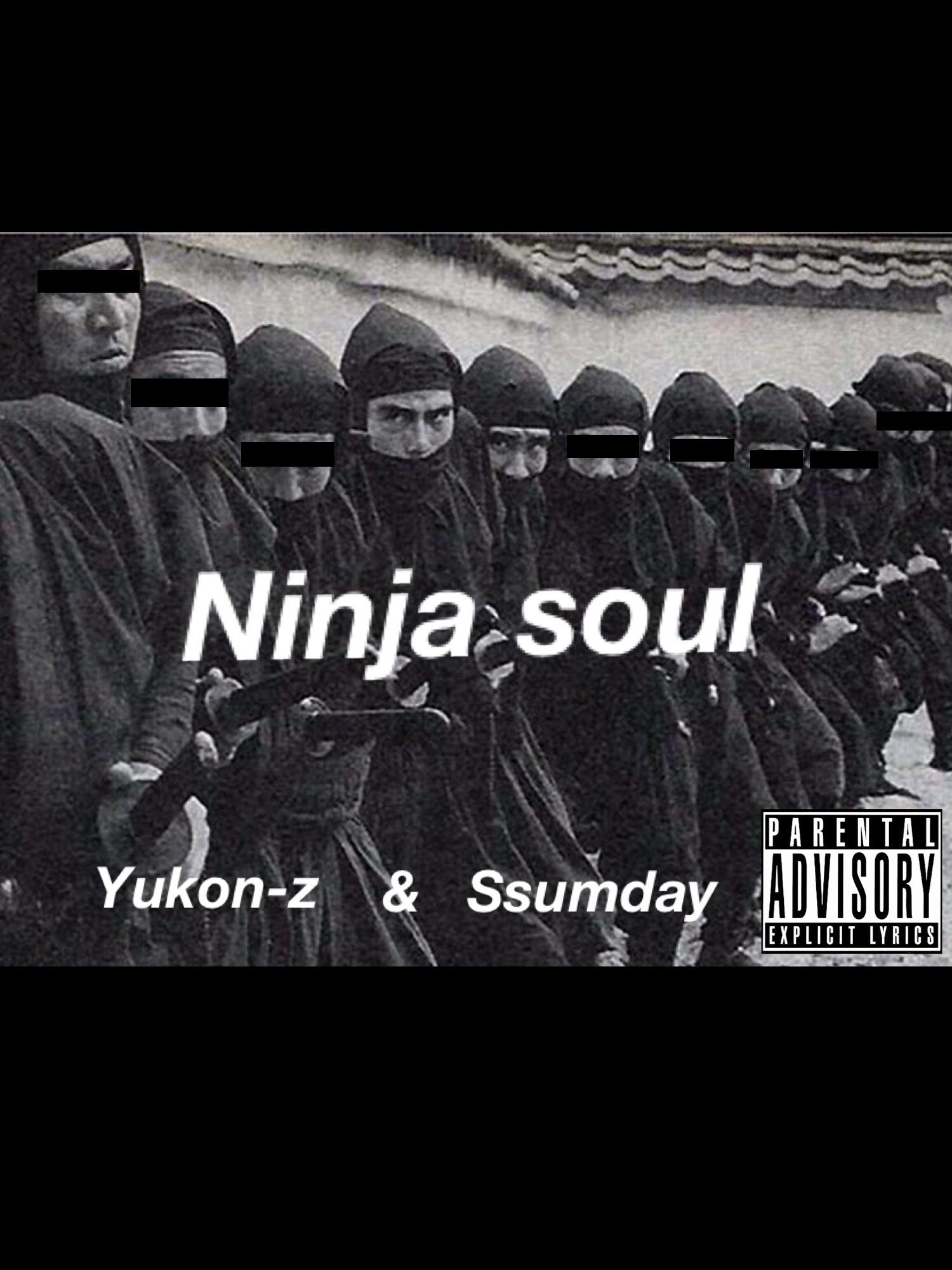 Ninja soul专辑