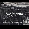 Ninja soul