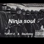 Ninja soul专辑