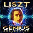 Liszt - The Genius Collection专辑