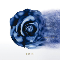 （桜雨）~JUJU