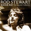 Maggie May: The Essential Collection专辑