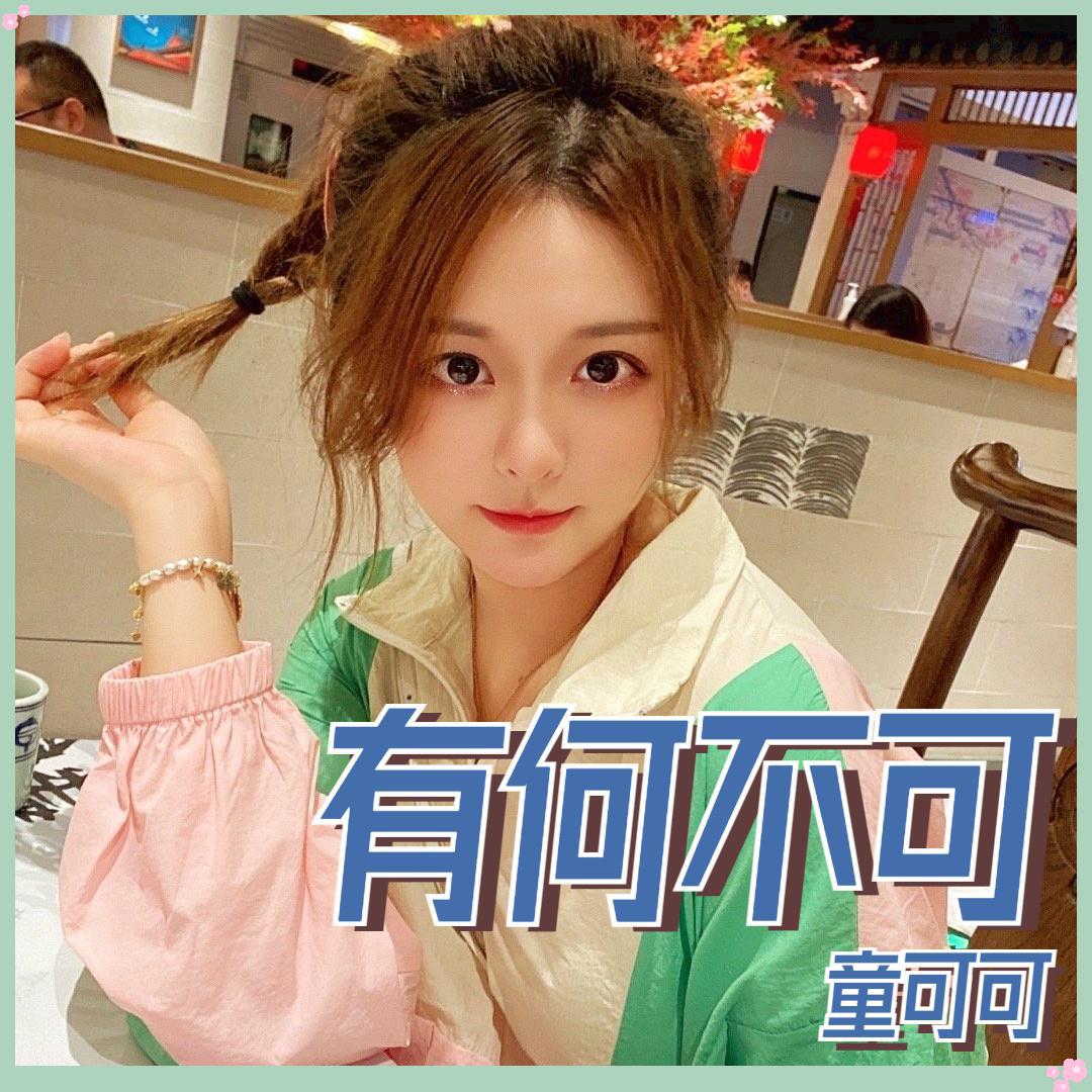 有何不可