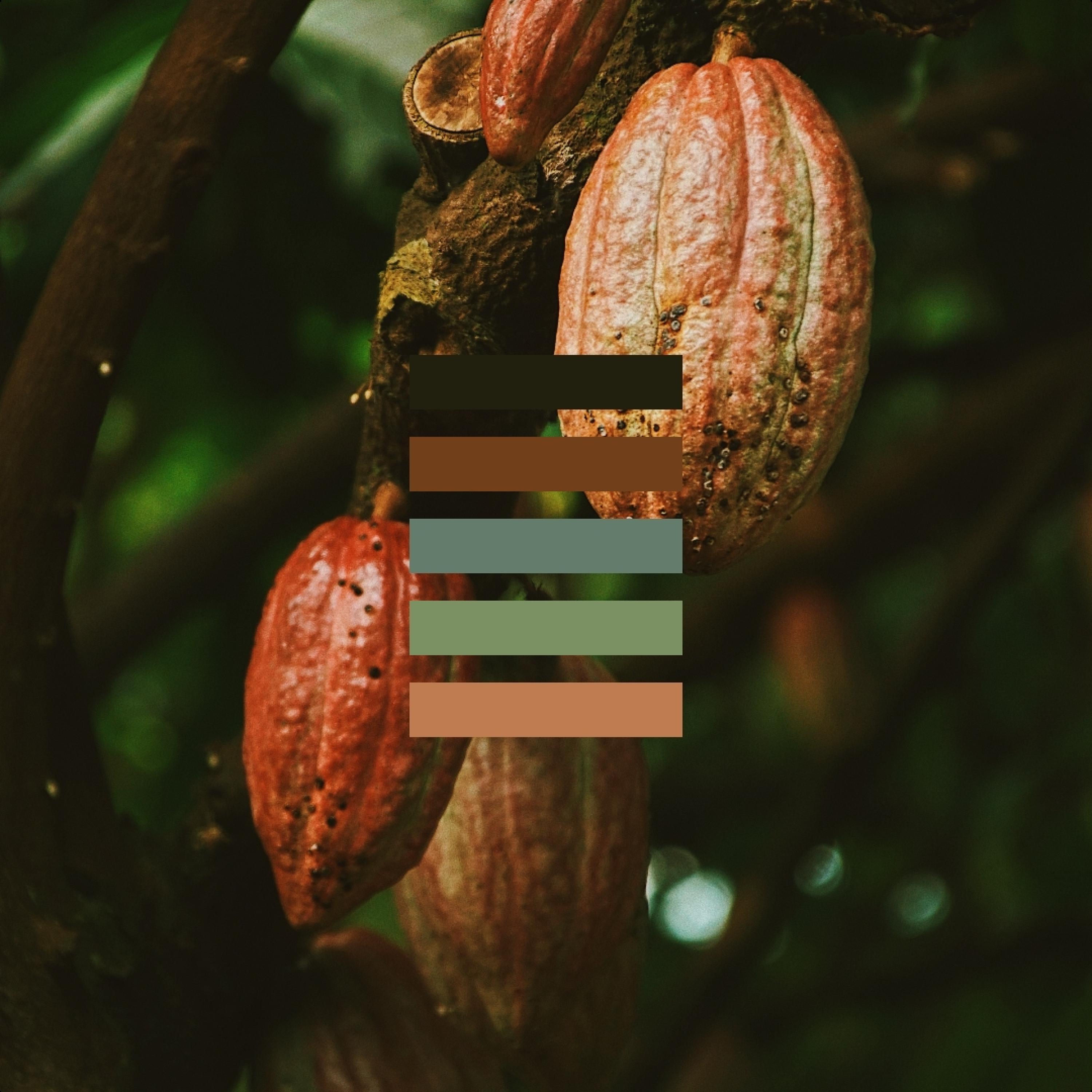 Mocha