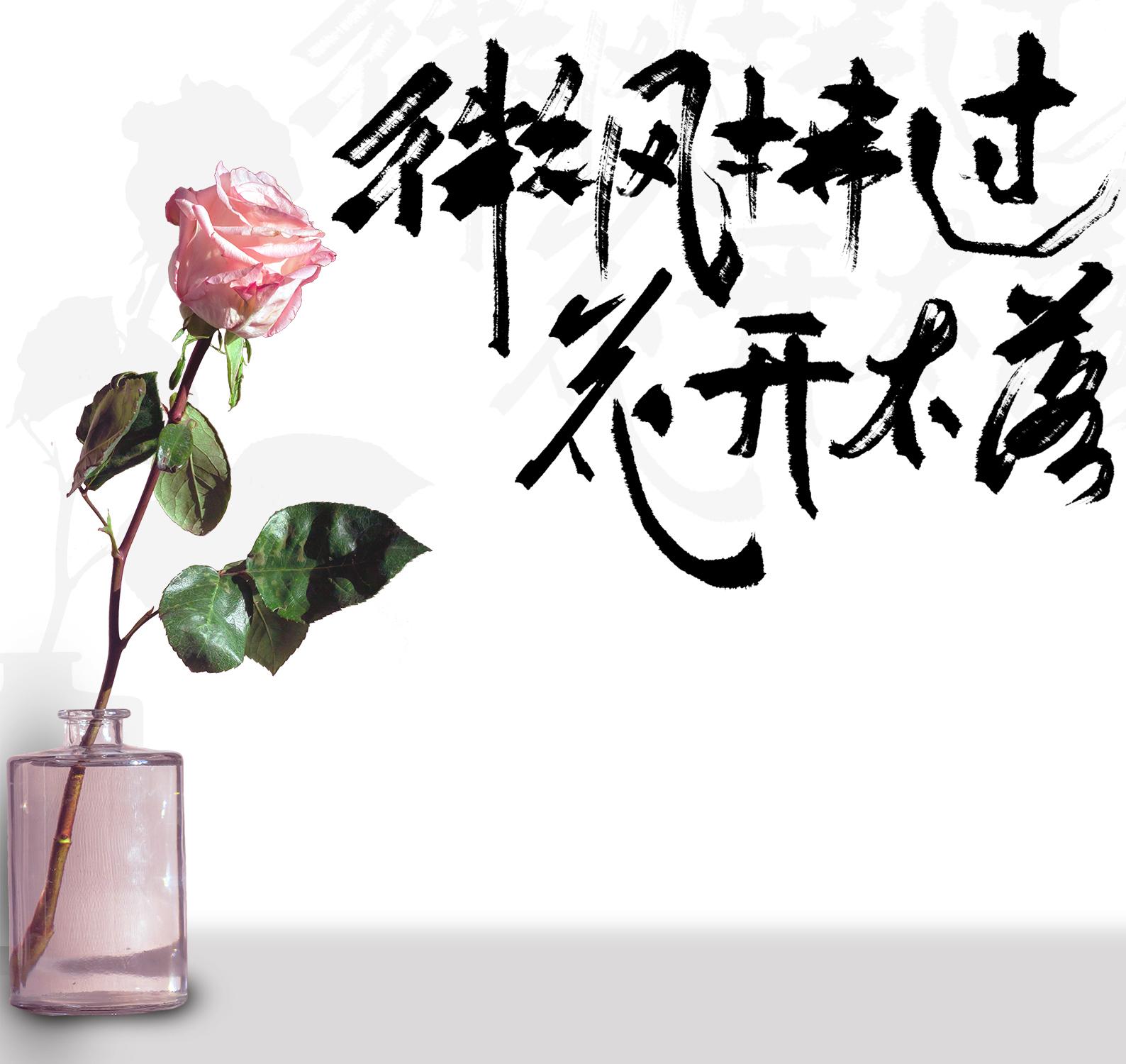 微风拂过，花开不落