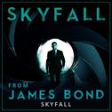 Skyfall (From the Film "James Bond - Skyfall") - Single专辑