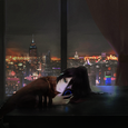 不期而遇。