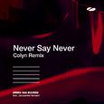 Never Say Never (Colyn Remix)