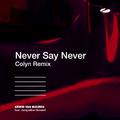 Never Say Never (Colyn Remix)