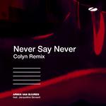 Never Say Never (Colyn Remix)专辑