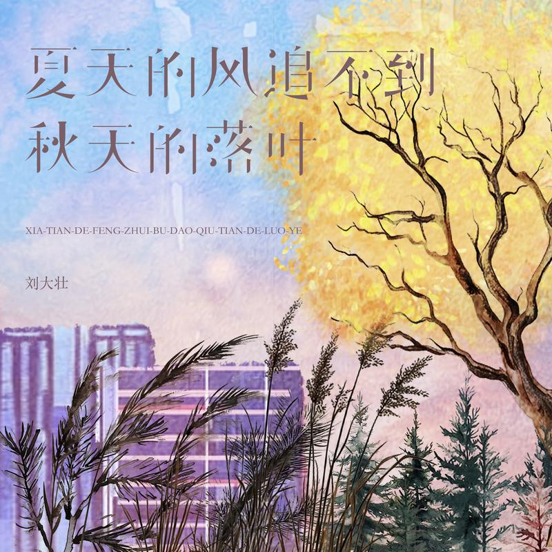 夏天的风追不到秋天的落叶专辑